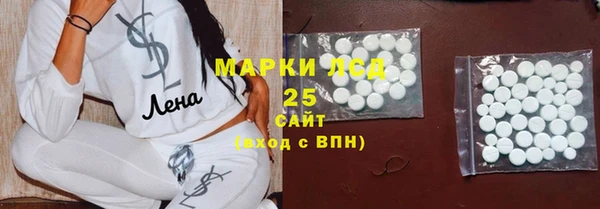 крисы Алзамай