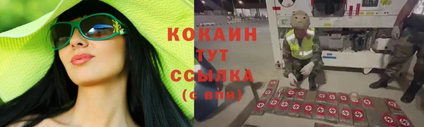 крисы Алзамай